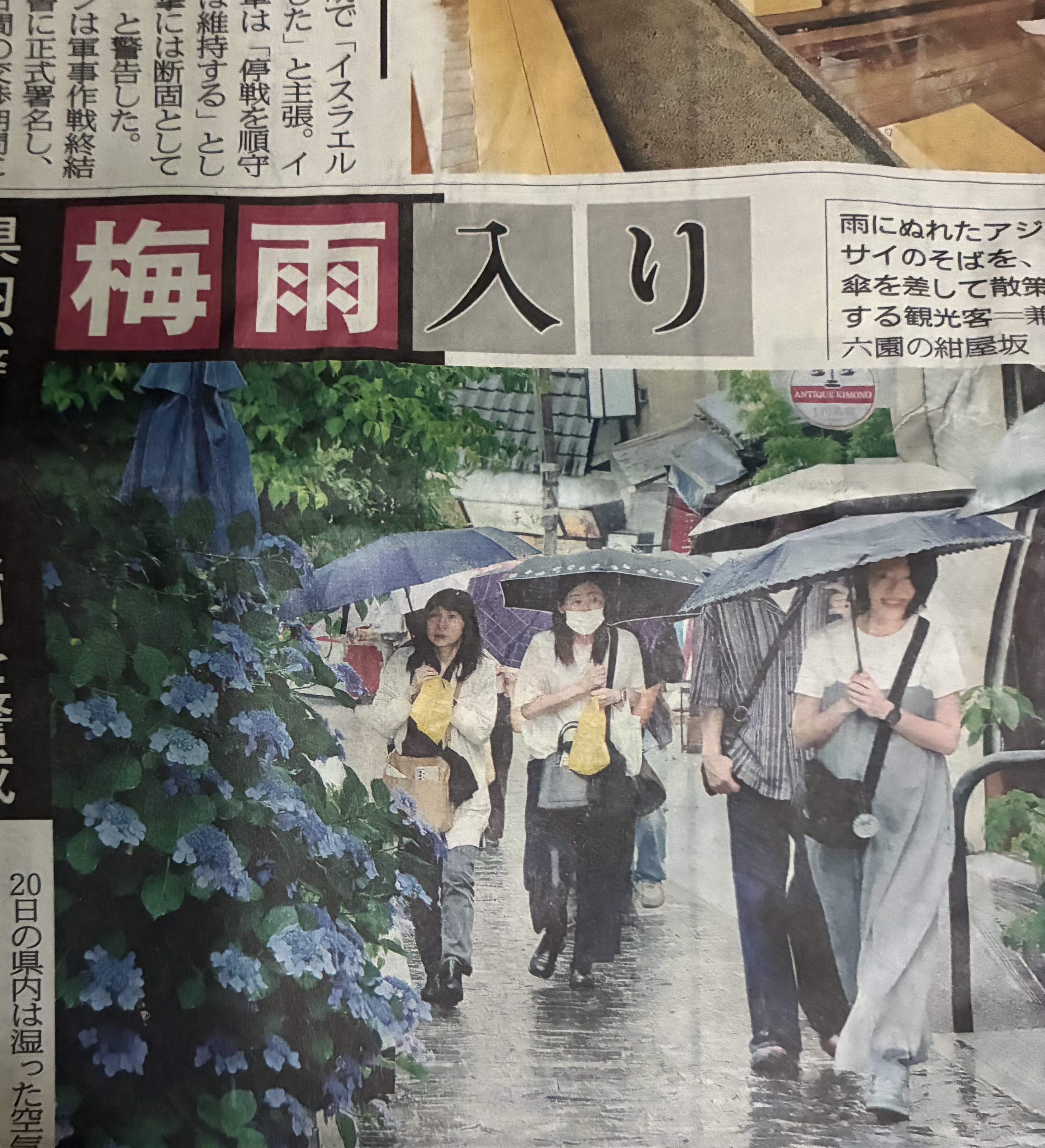 梅雨入り