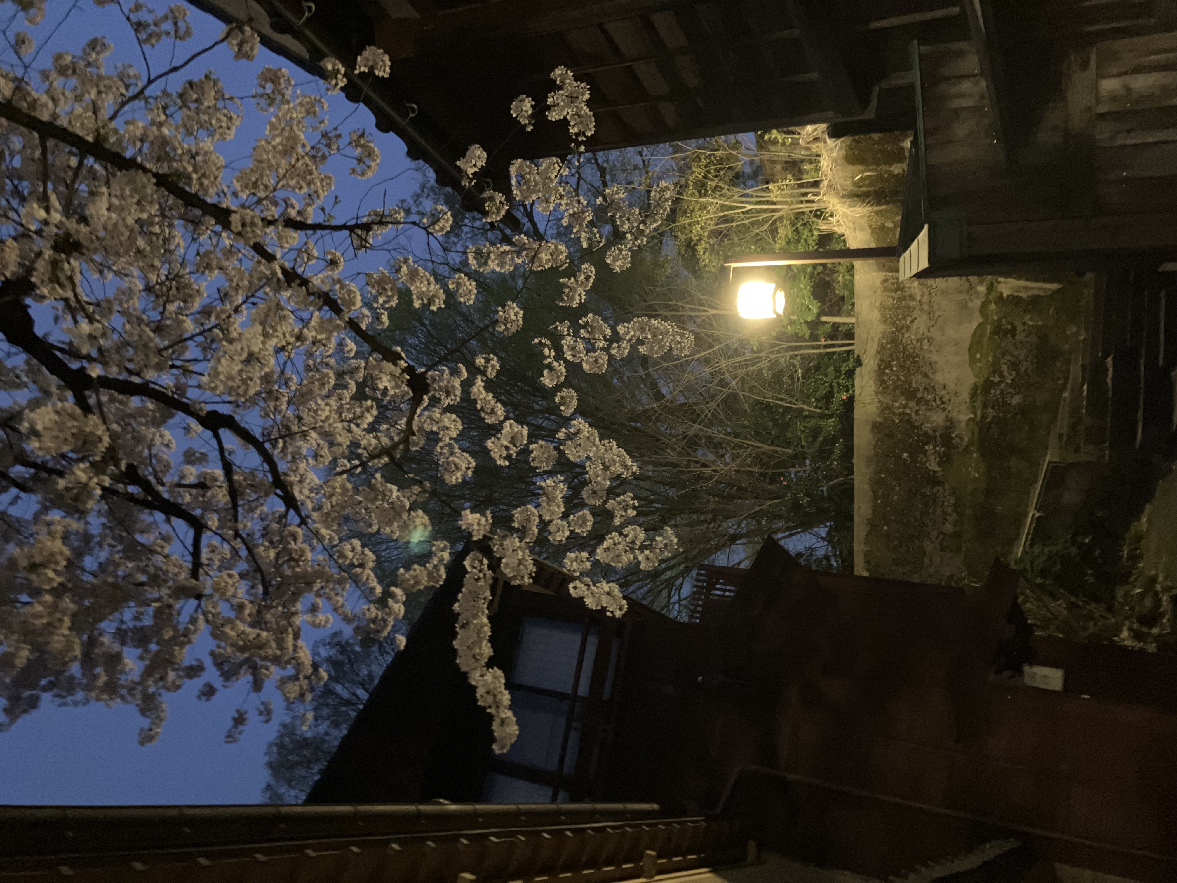 暗がり坂