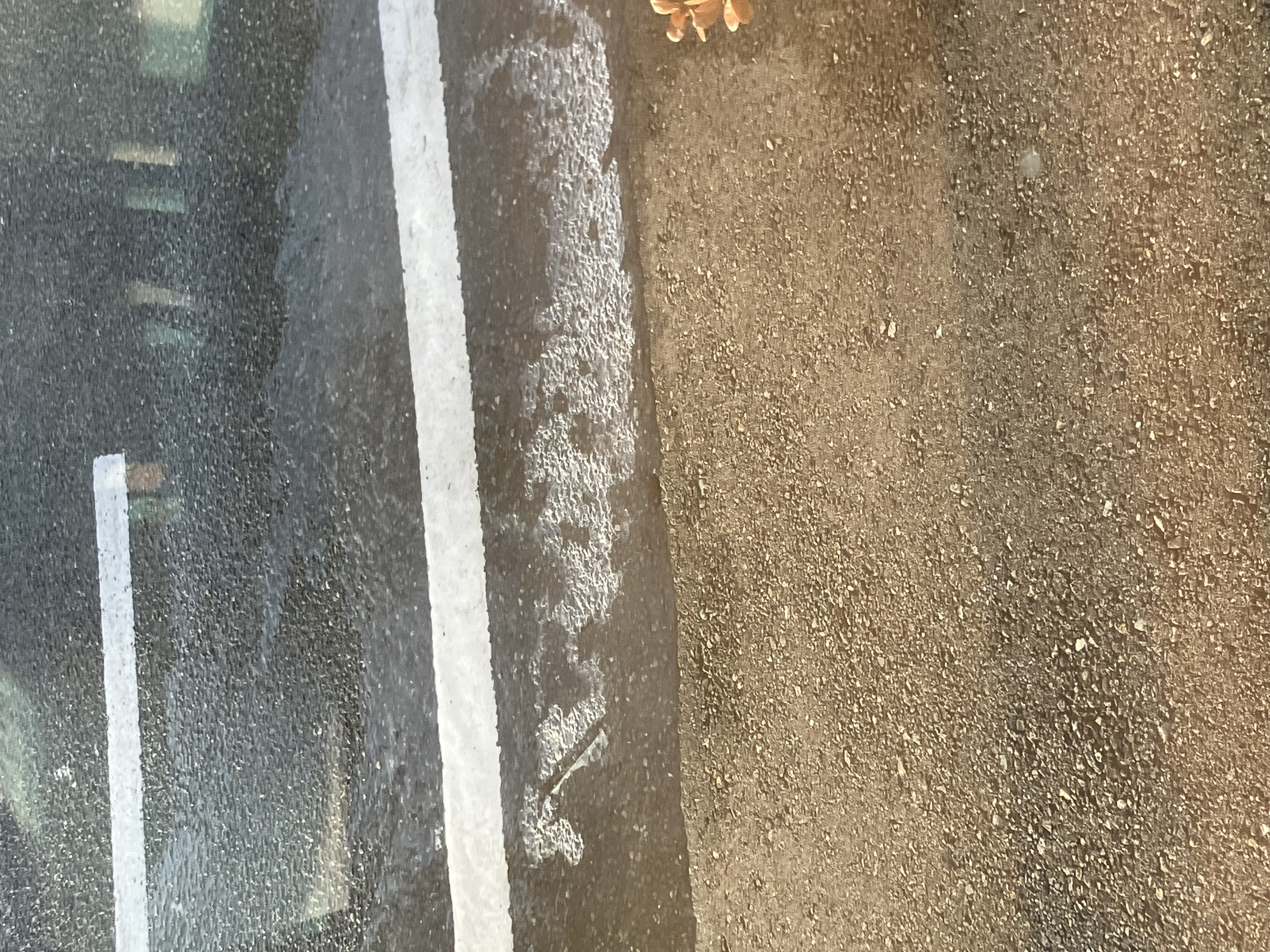 薄氷（うすらい・はくひょう・うすごおり）