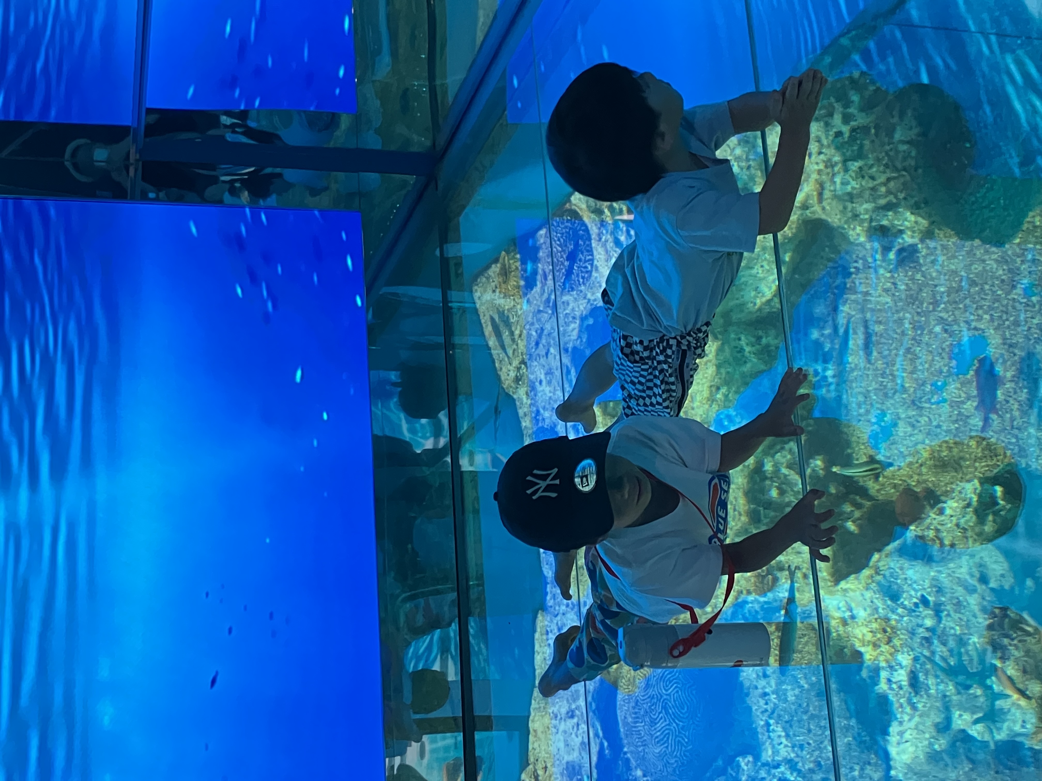 水族館