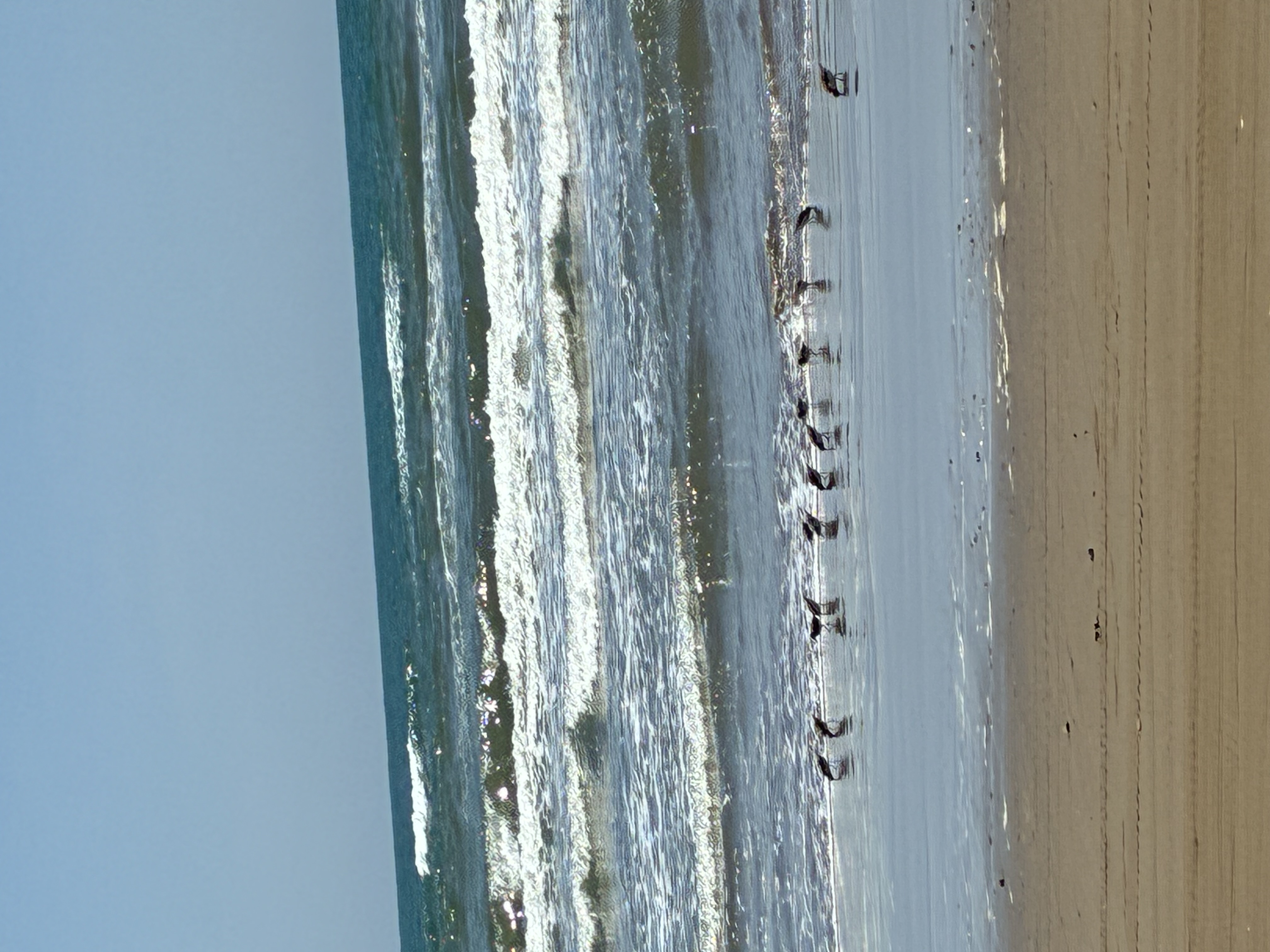 夏の海
